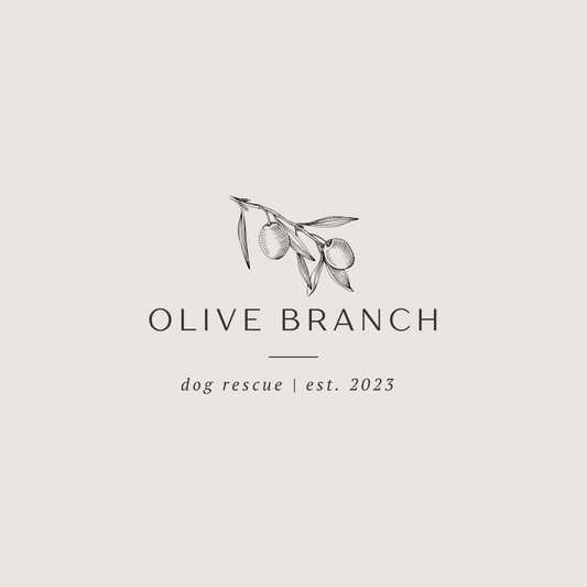 Donation to Olive Branch Dog Rescue